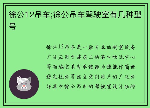 徐公12吊车;徐公吊车驾驶室有几种型号